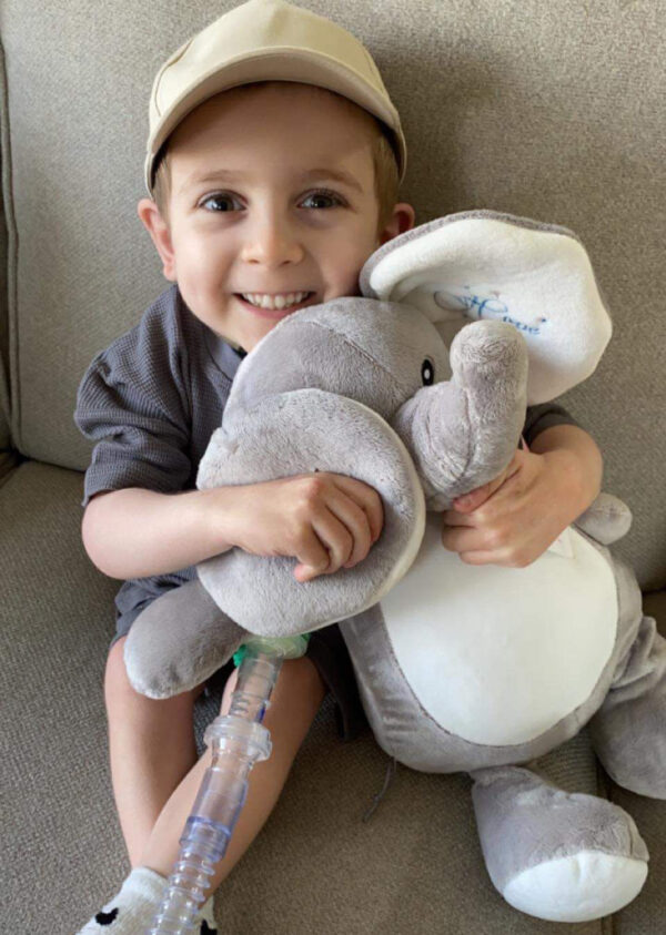 Hope Elephant - Memory Gift - Image 2