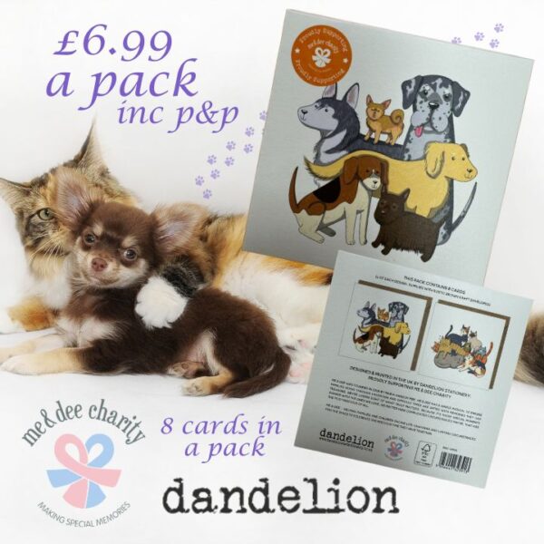 Dandelion Cards - Image 3